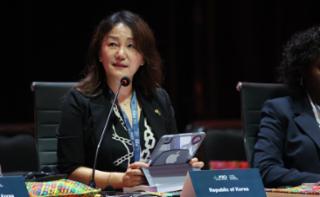 1ª Sessão de Trabalho - 1st Working Session - 1ª Sesión de trabajo. Representante da Coreia do Sul, Jaejung Lee