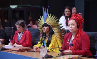 1ª Sessão de Trabalho - 1st Working Session - 1ª Sesión de trabajo. Dep. Professora Luciene Cavalcante (PSOL - RJ), Dep. Célia Xakriabá (PSOL - MG) e Dep. Daiana Santos (PCdoB - RS)