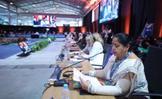 1ª Sessão de Trabalho - 1st Working Session - 1ª Sesión de trabajo. Senadora da Índia, Kalpana Saini (BJP)