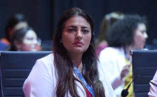 1ª Sessão de Trabalho - 1st Working Session - 1ª Sesión de trabajo. Dep. Ely Santos (REPUBLICANOS - SP)