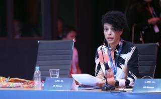 1ª Sessão de Trabalho - 1st Working Session - 1ª Sesión de trabajo. ONU Mulheres, Ana Claudia Jaquetto Pereira