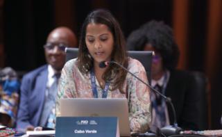 1ª Sessão de Trabalho - 1st Working Session - 1ª Sesión de trabajo. Deputada de Cabo Verde, Mircéa Delgado (MpD)