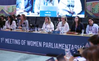 1ª Sessão de Trabalho - 1st Working Session - 1ª Sesión de trabajo.