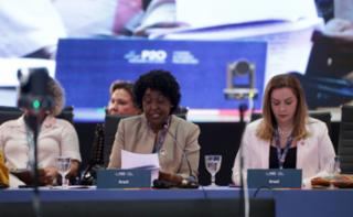 Painel Brasil: avanços legislativos e de políticas públicas para as mulheres. Dep. Benedita da Silva (PT - RJ)