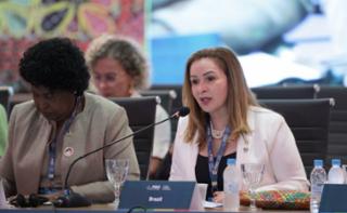 Painel Brasil: avanços legislativos e de políticas públicas para as mulheres. Dep. Socorro Neri (PP - AC)