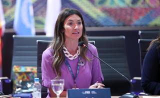 Painel Brasil: avanços legislativos e de políticas públicas para as mulheres. Dep. Greyce Elias (AVANTE - MG)