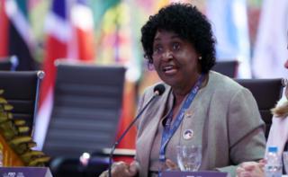 Painel Brasil: avanços legislativos e de políticas públicas para as mulheres. Dep. Benedita da Silva (PT - RJ)