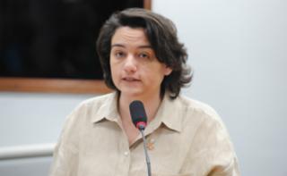 Apresentação da Guia Acessível para candidaturas das mulheres. Dep. Carla Ayres (PT-SC).