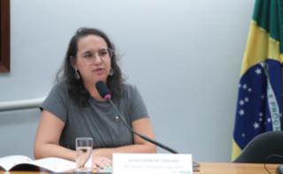 Apresentação da Guia Acessível para candidaturas das mulheres.	Secretária-Geral - Visibilidade Feminina, Nicole Gondim Porcaro.