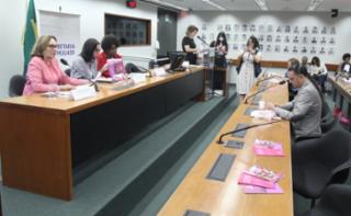 Seminário - Prevenção, detecção e tratamento dos cânceres do colo uterino e de mama. Senadora, Zenaide Maia (PSD - RN); Dep. Ana Pimentel (PT - MG) e Dep. Benedita da Silva (PT - RJ)