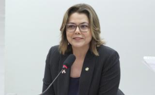 Seminário - Prevenção, detecção e tratamento dos cânceres do colo uterino e de mama. Senadora, Leila Barros (PDT - DF)