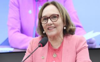 Seminário - Prevenção, detecção e tratamento dos cânceres do colo uterino e de mama. Senadora, Zenaide Maia (PSD - RN)