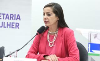 Seminário - Prevenção, detecção e tratamento dos cânceres do colo uterino e de mama. Associação de mulheres mastectomizadas de Brasília - ONG Recomeçar, Joana Jeker