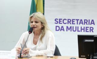 Seminário - Prevenção, detecção e tratamento dos cânceres do colo uterino e de mama. Dep. Flávia Morais (PDT - GO)