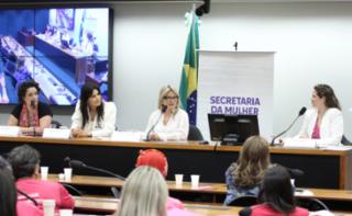 Seminário - Prevenção, detecção e tratamento dos cânceres do colo uterino e de mama. Instituto Avon, Renata Rodovalho; Grupo EVA, Gabriela Moreira; Dep. Flávia Morais (PDT - GO); Grupo Sasse Oncologia e Hematologia - SOnHe, Susana Ramalho