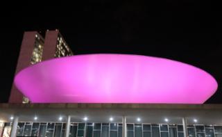 Coquetel e foto especial diante do Congresso iluminado com as cores da Campanha Outubro Rosa