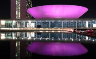 Coquetel e foto especial diante do Congresso iluminado com as cores da Campanha Outubro Rosa