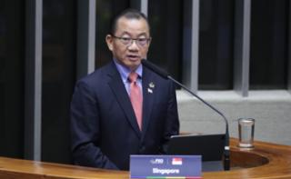 3ª Sessão de Trabalho - 3rd Working Session - 3ª Sesión de trabajo. Singapore Speaker, Kian Peng Seah.