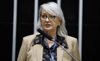 3ª Sessão de Trabalho - 3rd Working Session - 3ª Sesión de trabajo. South Africa Speaker, Annelie Lotriet.