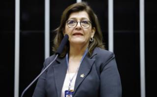 3ª Sessão de Trabalho - 3rd Working Session - 3ª Sesión de trabajo. ParlAmericas President, Blanca Margarita Ovelar De Duarte.