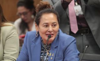 Reunião entre a Bancada Feminina e o novo Ministro da Saúde. Dep. Dilvanda Faro (PT-PA)