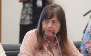 Reunião entre a Bancada Feminina e o novo Ministro da Saúde. Dep. Alice Portugal (PCdoB - BA)