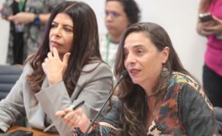 Reunião entre a Bancada Feminina e o novo Ministro da Saúde. Dep. Fernanda Melchionna (PSOL-RS)