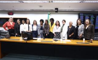 Reunião de eleição para os cargos da Coordenadoria-Geral do Observatório Nacional da Mulher na Política, da Procuradoria da Mulher e da Coordenadoria dos Direitos da Mulher.