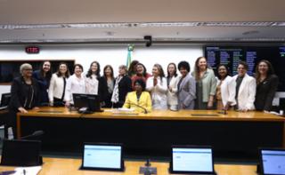 Reunião de eleição para os cargos da Coordenadoria-Geral do Observatório Nacional da Mulher na Política, da Procuradoria da Mulher e da Coordenadoria dos Direitos da Mulher.