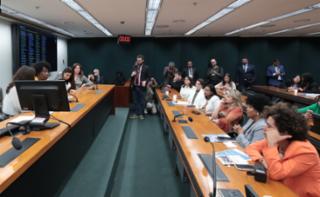 Reunião de eleição para os cargos da Coordenadoria-Geral do Observatório Nacional da Mulher na Política, da Procuradoria da Mulher e da Coordenadoria dos Direitos da Mulher.