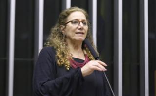 Discussão e Votação de Propostas Legislativas. Dep. Jandira Feghali (PCdoB - RJ)