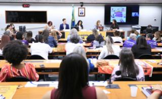 Audiência Pública - Proposta de Ratificação da Convenção 190 da OIT pelo Brasil - que visa eliminar a violência e o assédio no trabalho