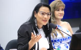 Audiência Pública - Proposta de Ratificação da Convenção 190 da OIT pelo Brasil - que visa eliminar a violência e o assédio no trabalho. Dep. Juliana Cardoso (PT - SP)