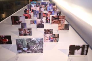 Abertura da exposição Servidores da Câmara: Servidores, vidas além do trabalho