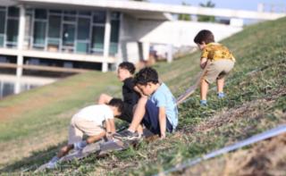 Escorrega no Gramado - Gramado do Congresso.
