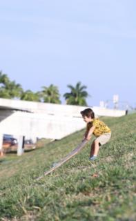 Escorrega no Gramado - Gramado do Congresso. Participante, Tom