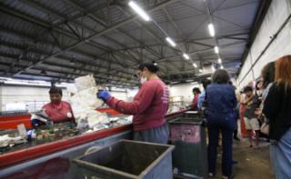 Visita à Cooperativa de Catadores "Construir".