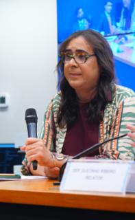 Oitivas de Testemunhas de defesa e de representado. Dep. Duda Salabert (PDT - MG)