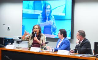 Oitivas de Testemunhas de defesa e de representado. Dep. Duda Salabert (PDT - MG). Dep. Gustinho Ribeiro (REPUBLICANOS-SE) e Dep. Fabio Schiochet (UNIÃO-SC)