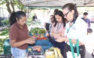 Inauguração da "EcoFeira - Orgânicos na Câmara". Estacionamento do Anexo IV.