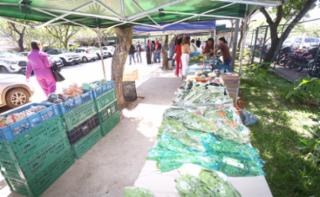Inauguração da "EcoFeira - Orgânicos na Câmara". Estacionamento do Anexo IV.