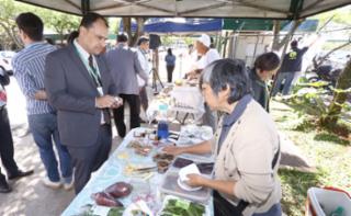 Inauguração da "EcoFeira - Orgânicos na Câmara". Estacionamento do Anexo IV. Diretor-executivo de Comunicação e Mídias Digitais, Cláudio Araújo.