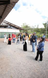 Viveiro aberto e Sarau.