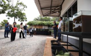 Viveiro aberto e Sarau.