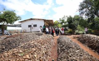 Viveiro aberto e Sarau.