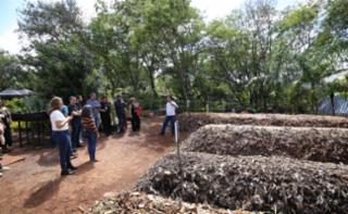 Viveiro aberto e Sarau.