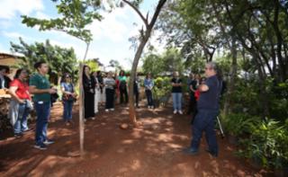 Viveiro aberto e Sarau.