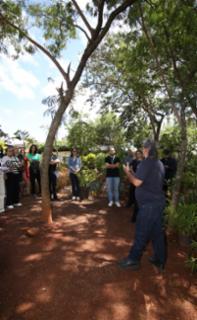 Viveiro aberto e Sarau.