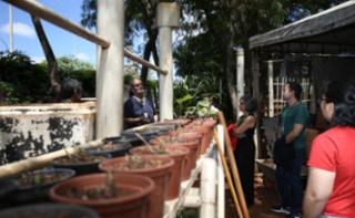 Viveiro aberto e Sarau.