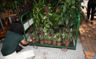 Viveiro aberto e Sarau.